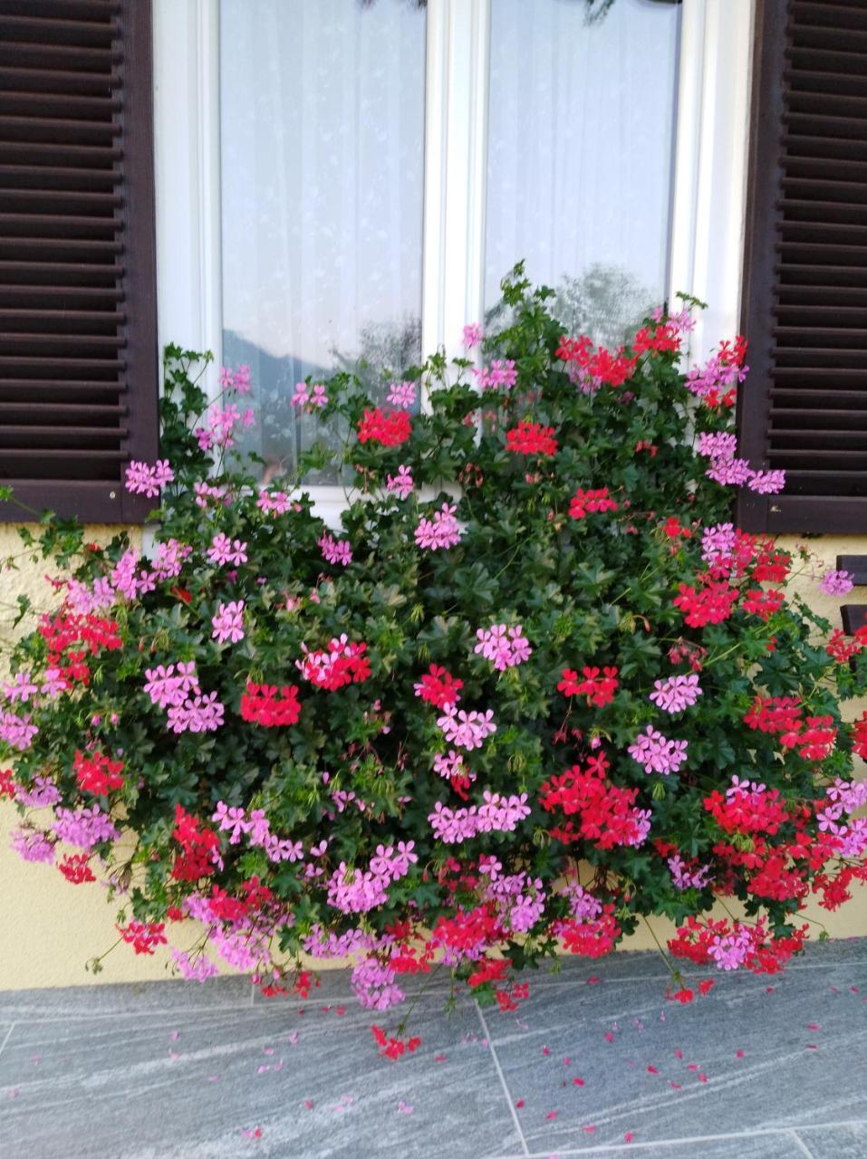 Haus Amalia Bed & Breakfast Strobl Luaran gambar